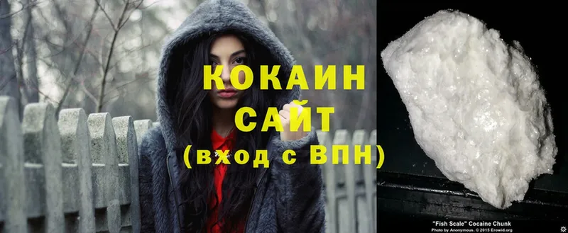 Cocaine VHQ  где купить наркоту  мега ТОР  Болохово 